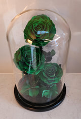 Deluxe Dome Triple Preserved Rose