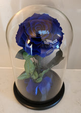 Supreme Eternal Red Rose In Glass Dome