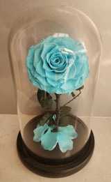 Preserved Rose in medium Glass Dome