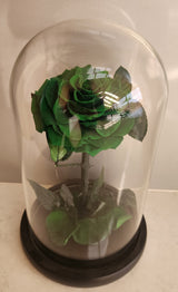 Supreme Eternal Red Rose In Glass Dome