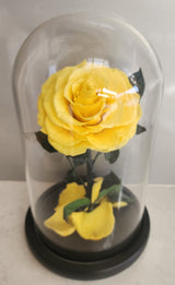Supreme Eternal Red Rose In Glass Dome