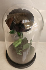 Supreme Eternal Red Rose In Glass Dome