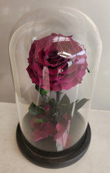 Supreme Eternal Red Rose In Glass Dome