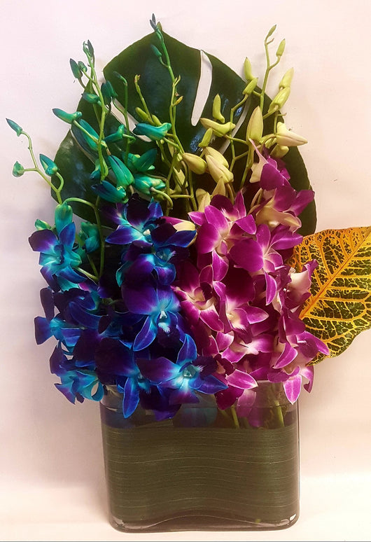 Vogue - Vibrant Large Singapore Orchid Combo in Rectangular Glass Vase