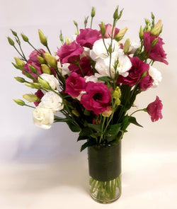 Bloomingful - Lisianthus in Glass Vase