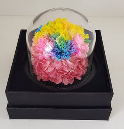 Preserved Rainbow Carnation with Hydrangea