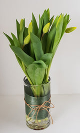 Beautiful Tulips in Glass Vase
