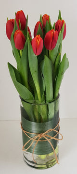 Beautiful Tulips in Glass Vase