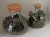 Terrarium Heaven