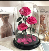 Deluxe Dome Triple Preserved Rose