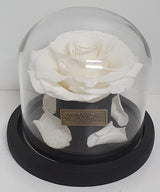 Mini Dome Preserved Rose