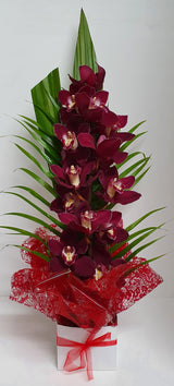 Cymbidium Orchid Arrangement