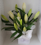 Oriental Boxed Lilies