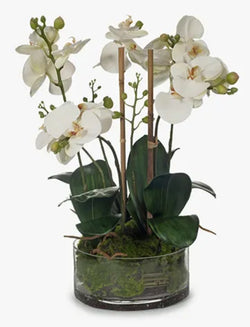 Artificial Phalaenopsis White Orchid In Glass Bowl