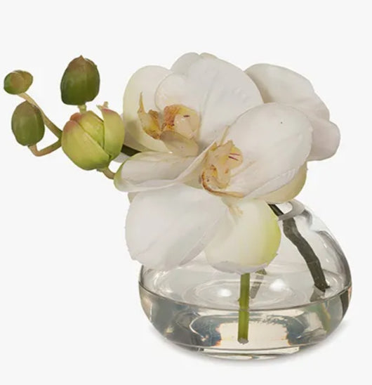 Artificial Phalaenopsis White Orchid In Small Glass Bowl