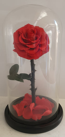 Supreme Eternal Red Rose In Glass Dome
